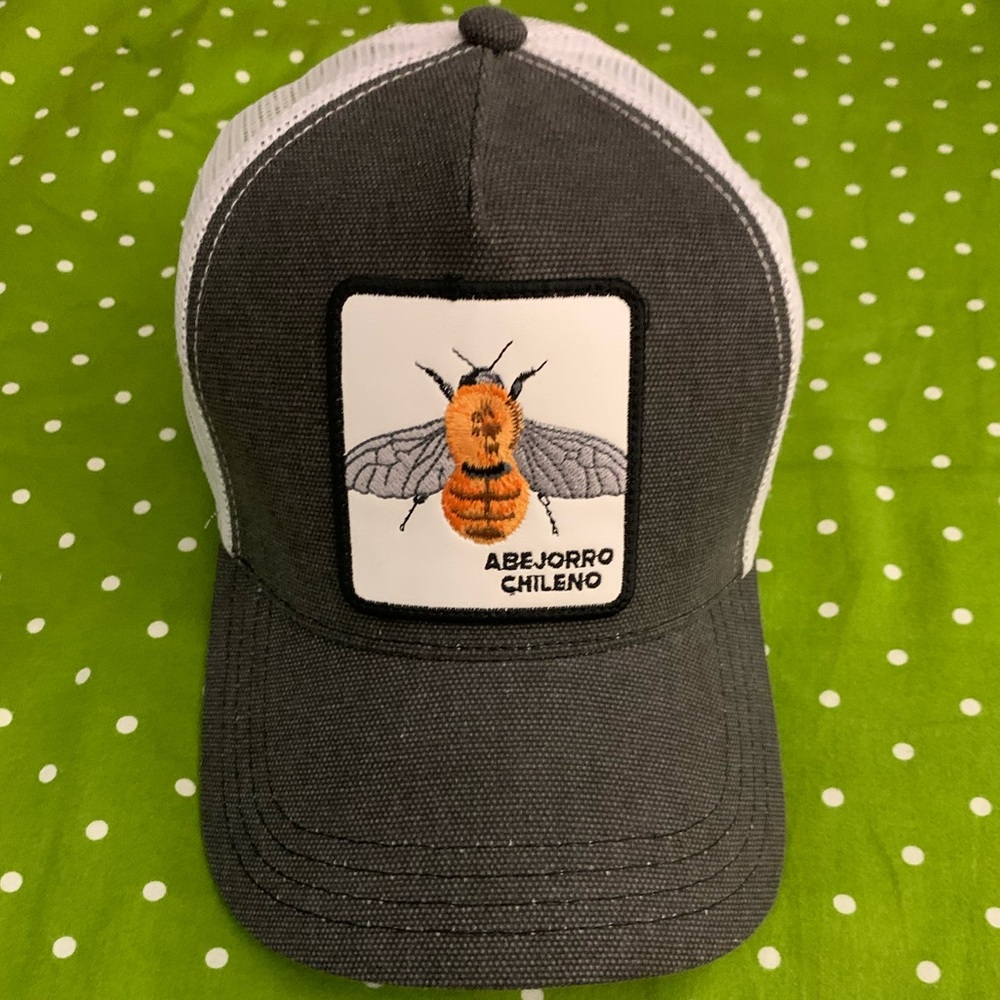 WILD LLAMA Bee Hat